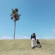 まっしー