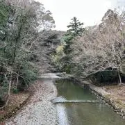 ズッキー
