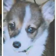 Naomi　※※※プロフ読んでね※※※
