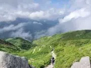 YYの画像