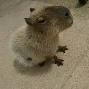 ミルクティー