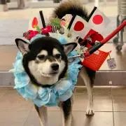 ベアブリック 100% 400% ドラクロワ 民衆を導く自由の女神 - メルカリ