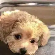 キクティ♡いつでもフォロー割‼️