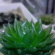 睡眠不足■プロフ見て頂けると助かりますの画像