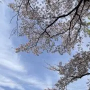 chimaの画像