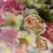 poppoの画像