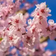 ♡即購入大歓迎♡の画像