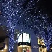 pokiの画像