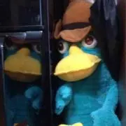 カイティン