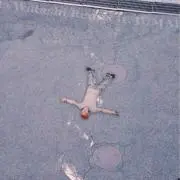 んぽちゃむの画像