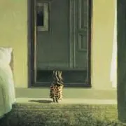 puuuの画像