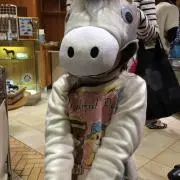 向日葵