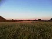 Mariの画像