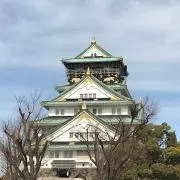 ハッピー。