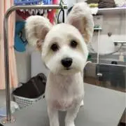 ミニッツメイド