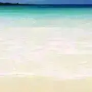 ya☆☆☆【即購入⭕️】の画像