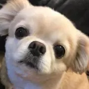 みーやんの画像