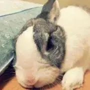 なつみ