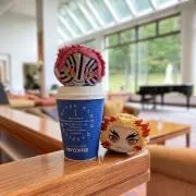 Kyouの画像