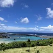 ガジョの画像