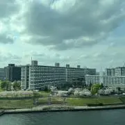 ちくわ