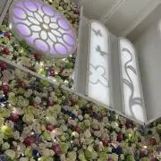みじんこ。※購入者様からのメッセージ不要の画像