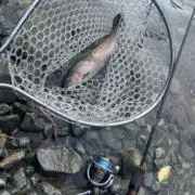 うかのみたま fishingの画像