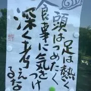 ヒトデ プロフ一読願います。の画像