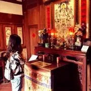 yu fanの画像