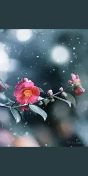 僕はお花屋さんなのだ。