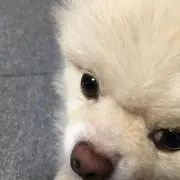 まる✤プロフ必読