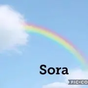 Soraの画像