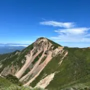 しろうまの画像