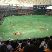 あこむ