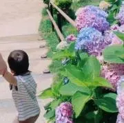 tuuuの画像