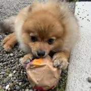 あっきーな