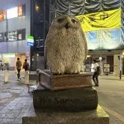 Image of Momoko