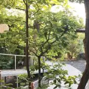 パパス