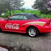 カタツムリ(即決購入ＯＫ)の画像