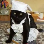 ぺ三郎汰