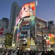 マジェスティs フロントフォーク OH済 硬さ(突き上げ感)対策品 - メルカリ