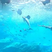 あと。プロフ読んでね