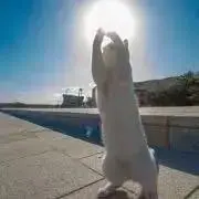 Fumiの画像