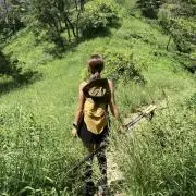 Pennyの画像