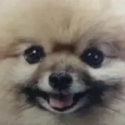 ８Ｑ８