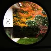 すき焼き大明神