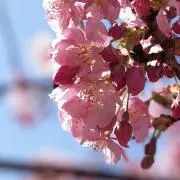 えりちの画像