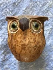 こうじの画像