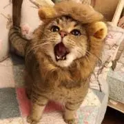 じんじん