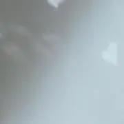 みの画像
